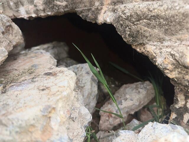 67b4fdec2a929_jones-assembly-of-god