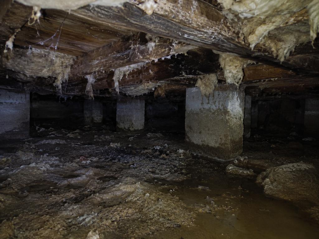 crawl space moisture problems