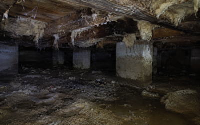 Why Crawl Space Moisture Is a Problem for Oklahoma Homes